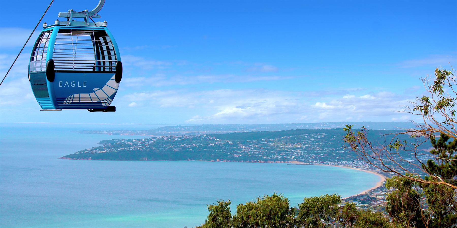 arthurs seat eagle, mornington peninsula